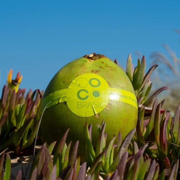 Água de Coco 100% Natural