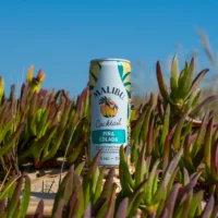 coco-brasil-malibu-pinacolada