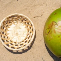 coco-brasil-produto