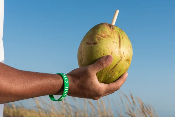 So kommt COCO-BRASIL zu Ihnen