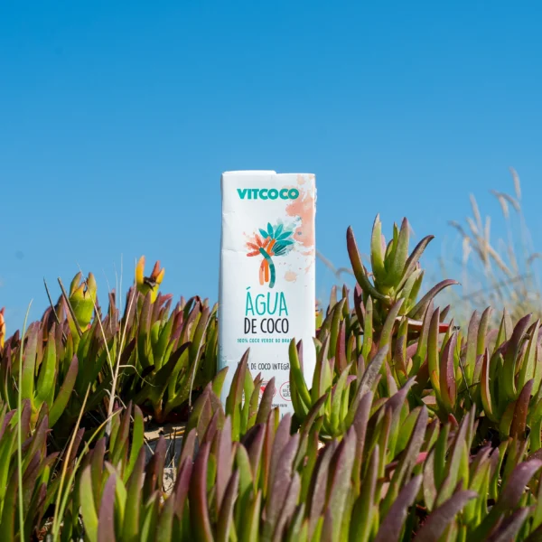 Vitcoco