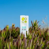 coco-brasil-vitcoco2