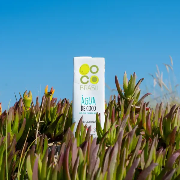 Vitcoco 100% Kokoswasser